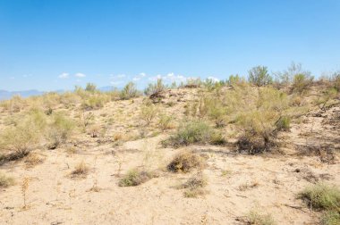  Bozkır yaz. Turgai kapısı. Turgai Kaydet. Milli Parkı 