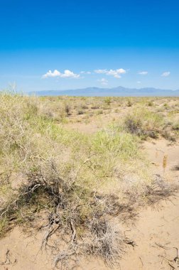  Bozkır yaz. Turgai kapısı. Turgai Kaydet. Milli Parkı 
