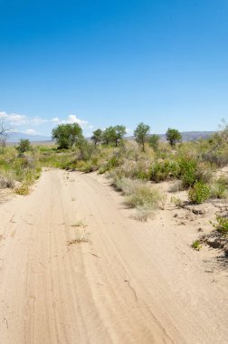  Bozkır yaz. Turgai kapısı. Turgai Kaydet. Milli Parkı 