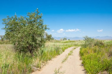  Bozkır yaz. Turgai kapısı. Turgai Kaydet. Milli Parkı 