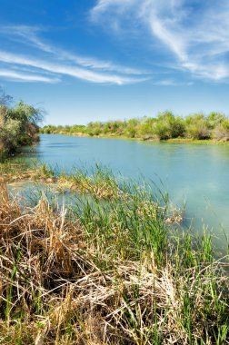 Bozkır nehir sazlık yaz. nehir görünümünde kez izlendi. küçük mavi nehir kıyısında güneşli bir gün
