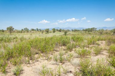  Bozkır yaz. Turgai kapısı. Turgai Kaydet. Milli Parkı 