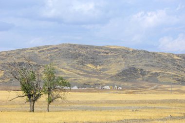 Woodless, zavallı nemi ve genellikle düz ile kuru iklim bölgesinde otsu bitki örtüsü bozkır. çayır, veld, veldt