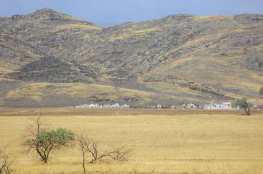 Woodless, zavallı nemi ve genellikle düz ile kuru iklim bölgesinde otsu bitki örtüsü bozkır. çayır, veld, veldt