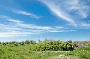 Bozkır, çayır, veldt, veld, taşkın. Kazakistan bozkırlarında güzel doğada