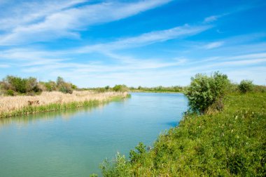 Bozkır nehir sazlık yaz. nehir görünümünde kez izlendi. küçük mavi nehir kıyısında güneşli bir gün