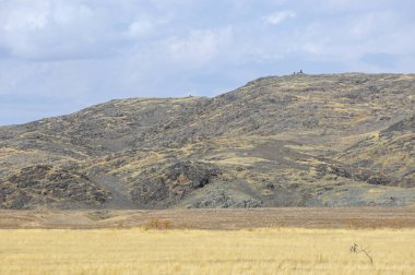 Woodless, zavallı nemi ve genellikle düz ile kuru iklim bölgesinde otsu bitki örtüsü bozkır. çayır, veld, veldt