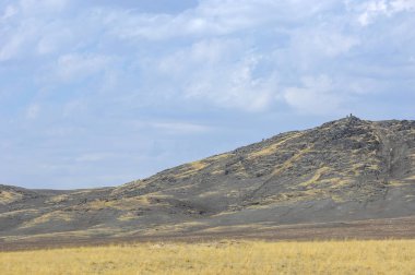 Woodless, zavallı nemi ve genellikle düz ile kuru iklim bölgesinde otsu bitki örtüsü bozkır. çayır, veld, veldt