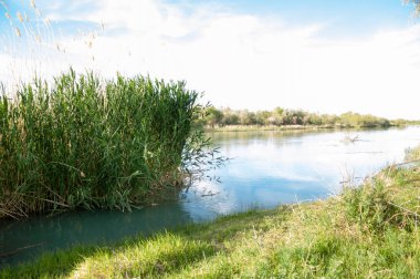 Bozkır nehir sazlık yaz. nehir görünümünde kez izlendi. küçük mavi nehir kıyısında güneşli bir gün