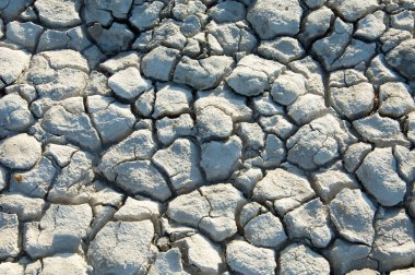 Yere çatlaklar. kuraklık. toprak erozyonu, kırık doku. Kuru kırık zemin. 