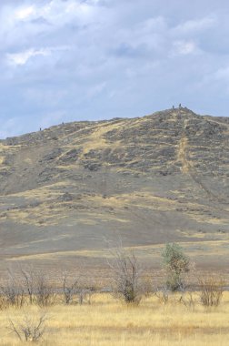 Woodless, zavallı nemi ve genellikle düz ile kuru iklim bölgesinde otsu bitki örtüsü bozkır. çayır, veld, veldt