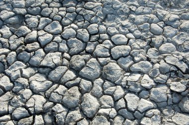 Yere çatlaklar. kuraklık. toprak erozyonu, kırık doku. Kuru kırık zemin. 