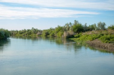 Bozkır nehir sazlık yaz. nehir görünümünde kez izlendi. küçük mavi nehir kıyısında güneşli bir gün