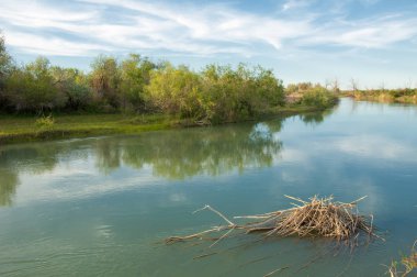 Bozkır nehir sazlık yaz. nehir görünümünde kez izlendi. küçük mavi nehir kıyısında güneşli bir gün