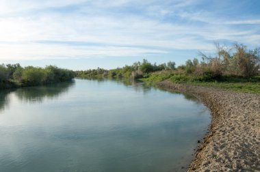 Bozkır nehir sazlık yaz. nehir görünümünde kez izlendi. küçük mavi nehir kıyısında güneşli bir gün