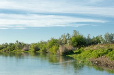Bozkır nehir sazlık yaz. nehir görünümünde kez izlendi. küçük mavi nehir kıyısında güneşli bir gün