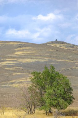 Woodless, zavallı nemi ve genellikle düz ile kuru iklim bölgesinde otsu bitki örtüsü bozkır. çayır, veld, veldt