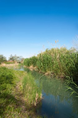 Bozkır nehir sazlık yaz. nehir görünümünde kez izlendi. küçük mavi nehir kıyısında güneşli bir gün