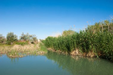 Bozkır nehir sazlık yaz. nehir görünümünde kez izlendi. küçük mavi nehir kıyısında güneşli bir gün