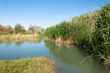 Bozkır nehir sazlık yaz. nehir görünümünde kez izlendi. küçük mavi nehir kıyısında güneşli bir gün