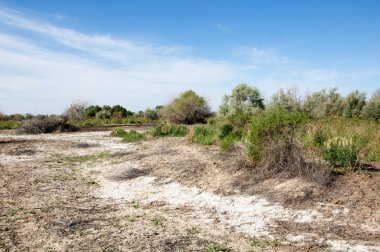 Bozkır tuzlu topraklar. tuz tuz tuz. Bozkır çayır veldt veld. Tuzlu toprak çöl, tuzlu Göller. cansız yanıp kavrulmuş dünyamız. Kazakistan çıplak bozkır