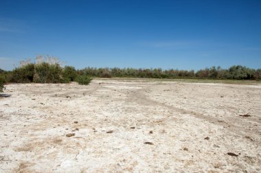 Bozkır tuzlu topraklar. tuz tuz tuz. Bozkır çayır veldt veld. Tuzlu toprak çöl, tuzlu Göller. cansız yanıp kavrulmuş dünyamız. Kazakistan çıplak bozkır