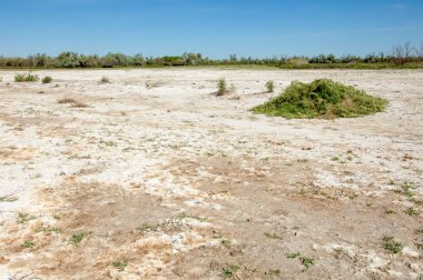 Bozkır tuzlu topraklar. tuz tuz tuz. Bozkır çayır veldt veld. Tuzlu toprak çöl, tuzlu Göller. cansız yanıp kavrulmuş dünyamız. Kazakistan çıplak bozkır