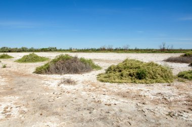 Bozkır tuzlu topraklar. tuz tuz tuz. Bozkır çayır veldt veld. Tuzlu toprak çöl, tuzlu Göller. cansız yanıp kavrulmuş dünyamız. Kazakistan çıplak bozkır