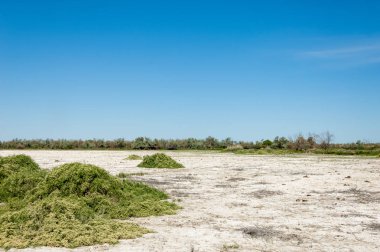 Bozkır tuzlu topraklar. tuz tuz tuz. Bozkır çayır veldt veld. Tuzlu toprak çöl, tuzlu Göller. cansız yanıp kavrulmuş dünyamız. Kazakistan çıplak bozkır