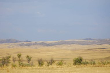 Woodless, zavallı nemi ve genellikle düz ile kuru iklim bölgesinde otsu bitki örtüsü bozkır. çayır, veld, veldt
