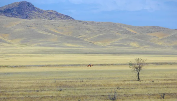 Paisagem Outono Estepe Com Montanhas Pradaria Veld Veldt Uma Grande — Fotografia de Stock