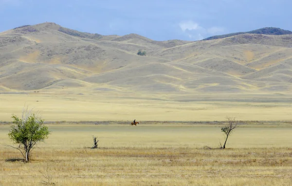 Podzimní Krajina Stepní Horami Prérie Veld Travin Velké Otevřené Oblasti — Stock fotografie