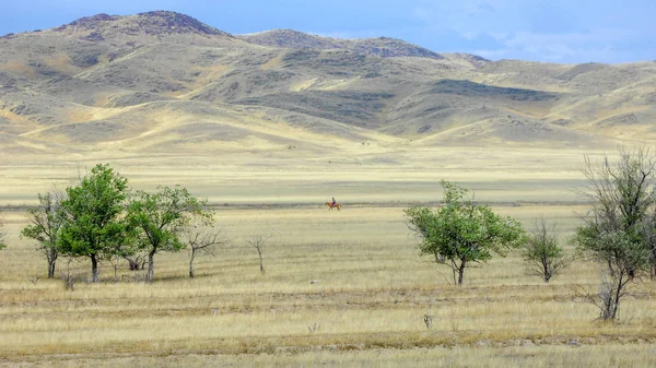 Sonbahar manzara, bozkır Dağları ile. çayır, veld, veldt. otlak, açık, ekilmemiş ülke veya otlak geniş bir açık alan