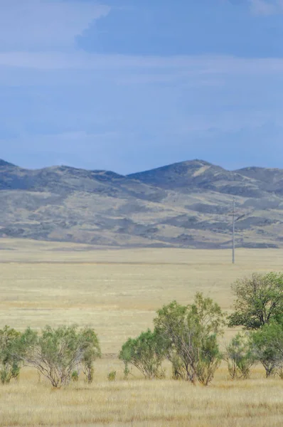 Woodless, zavallı nemi ve genellikle düz ile kuru iklim bölgesinde otsu bitki örtüsü bozkır. çayır, veld, veldt