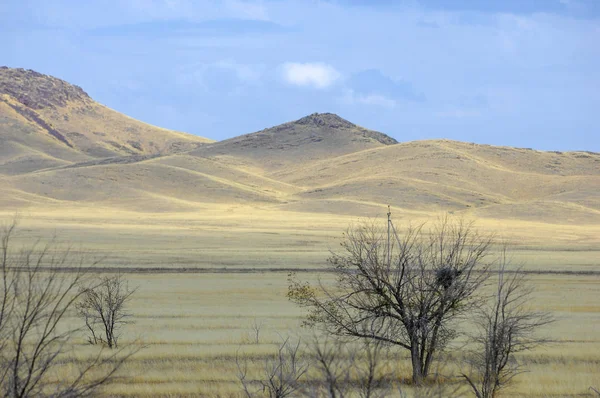 Paisagem Outono Estepe Com Montanhas Pradaria Veld Veldt Uma Grande — Fotografia de Stock