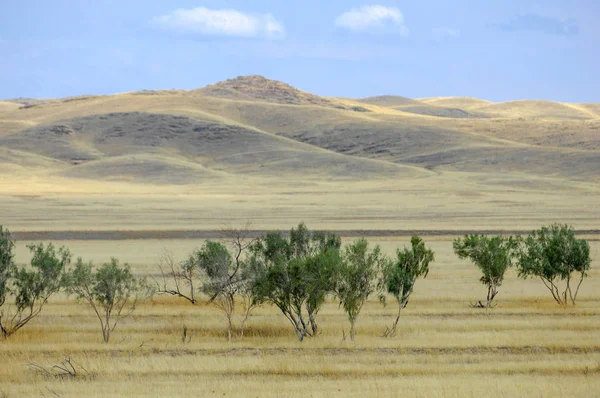 Sonbahar manzara, bozkır Dağları ile. çayır, veld, veldt. otlak, açık, ekilmemiş ülke veya otlak geniş bir açık alan