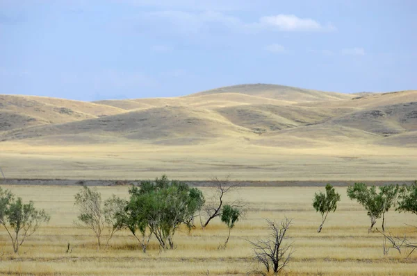 Paysage Automne Steppe Avec Montagnes Prairie Veld Veldt Grand Espace — Photo