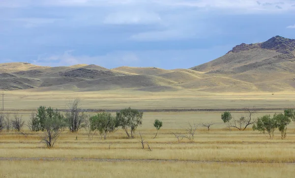 Sonbahar manzara, bozkır Dağları ile. çayır, veld, veldt. otlak, açık, ekilmemiş ülke veya otlak geniş bir açık alan