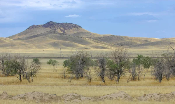 Paisagem Outono Estepe Com Montanhas Pradaria Veld Veldt Uma Grande — Fotografia de Stock