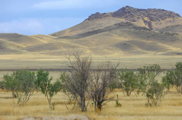 Sonbahar manzara, bozkır Dağları ile. çayır, veld, veldt. otlak, açık, ekilmemiş ülke veya otlak geniş bir açık alan