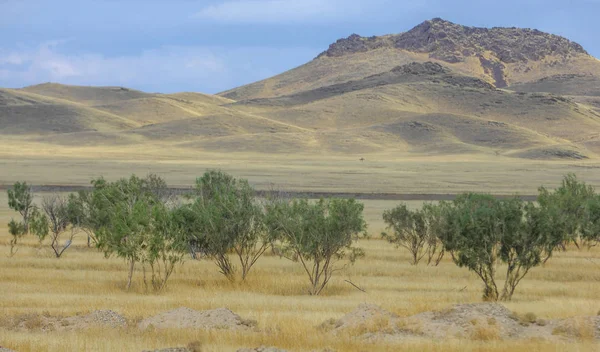 Sonbahar manzara, bozkır Dağları ile. çayır, veld, veldt. otlak, açık, ekilmemiş ülke veya otlak geniş bir açık alan