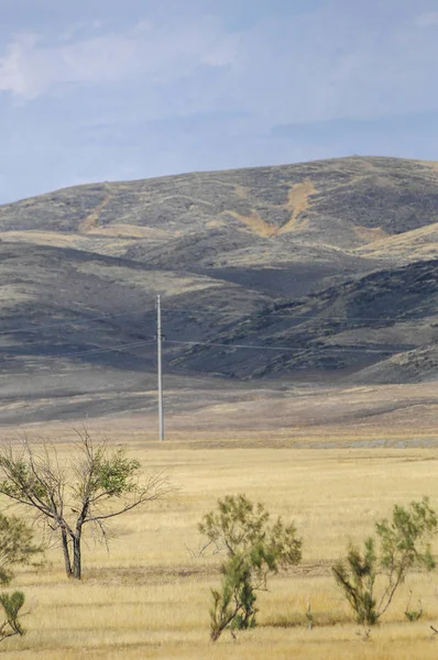 Woodless, zavallı nemi ve genellikle düz ile kuru iklim bölgesinde otsu bitki örtüsü bozkır. çayır, veld, veldt