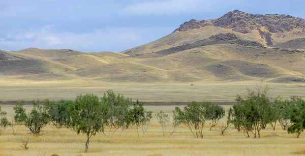 Sonbahar manzara, bozkır Dağları ile. çayır, veld, veldt. otlak, açık, ekilmemiş ülke veya otlak geniş bir açık alan