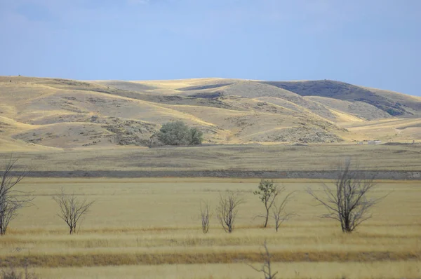 Paysage Automne Steppe Avec Montagnes Prairie Veld Veldt Grand Espace — Photo