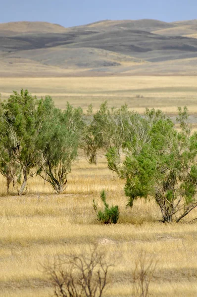 Sonbahar manzara, bozkır Dağları ile. çayır, veld, veldt. otlak, açık, ekilmemiş ülke veya otlak geniş bir açık alan