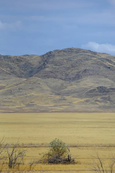 Paysage Automne Steppe Avec Montagnes Prairie Veld Veldt Grand Espace — Photo