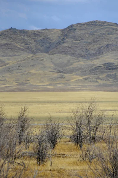 Sonbahar manzara, bozkır Dağları ile. çayır, veld, veldt. otlak, açık, ekilmemiş ülke veya otlak geniş bir açık alan