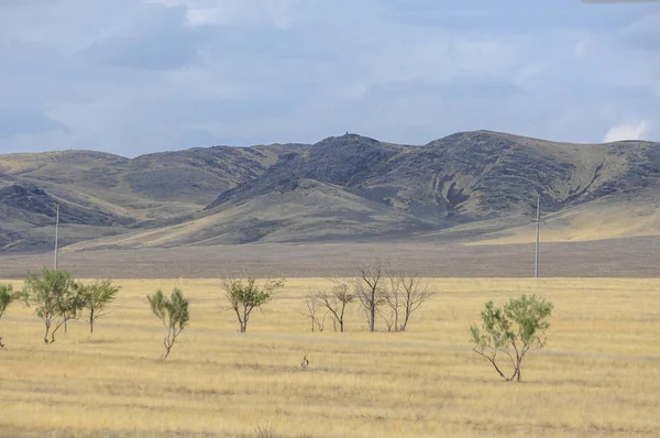 Woodless, zavallı nemi ve genellikle düz ile kuru iklim bölgesinde otsu bitki örtüsü bozkır. çayır, veld, veldt