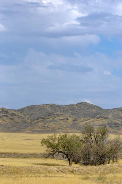 Sonbahar manzara, bozkır Dağları ile. çayır, veld, veldt. otlak, açık, ekilmemiş ülke veya otlak geniş bir açık alan