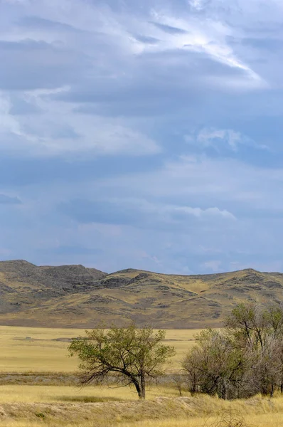 Paisagem Outono Estepe Com Montanhas Pradaria Veld Veldt Uma Grande — Fotografia de Stock